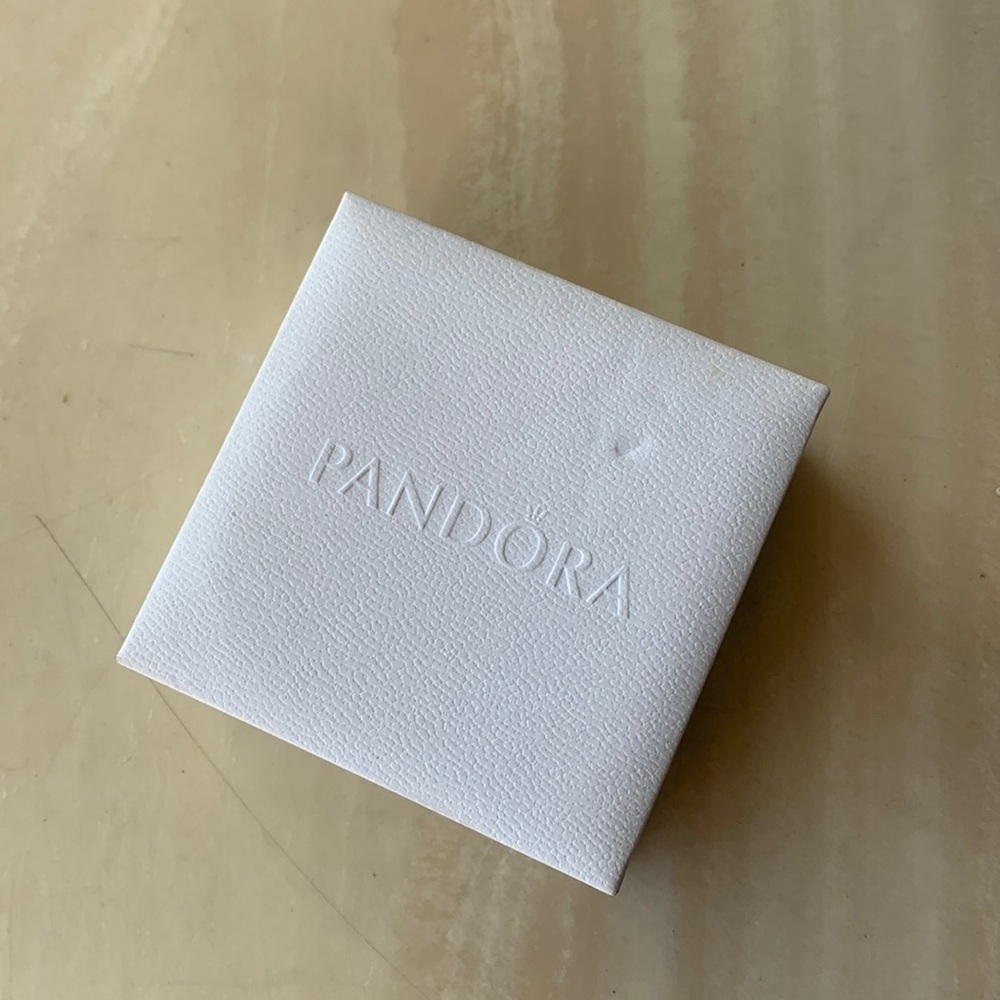 New Pandora Bracelet with charm